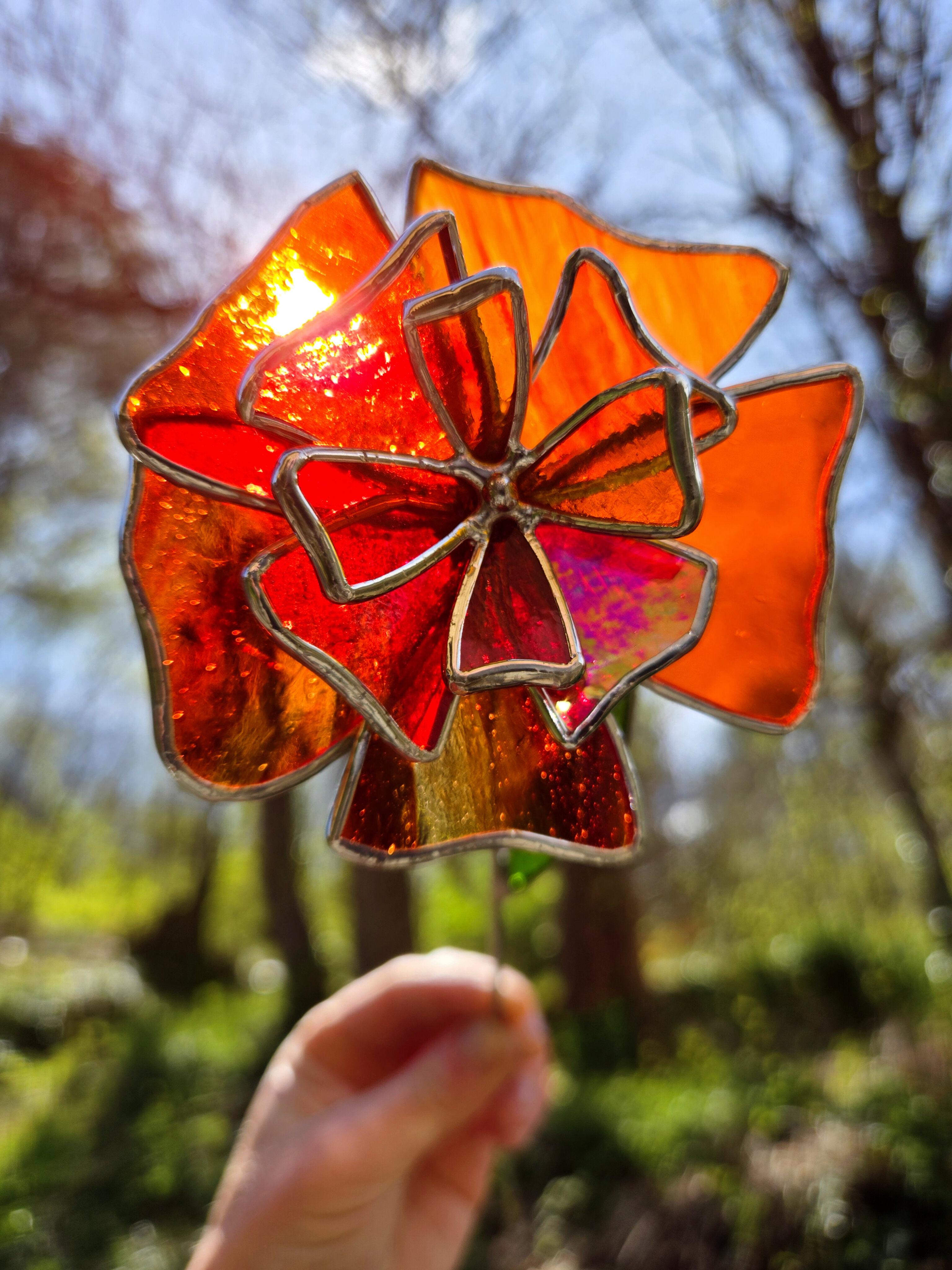 Fleur Eternelle - Awáã