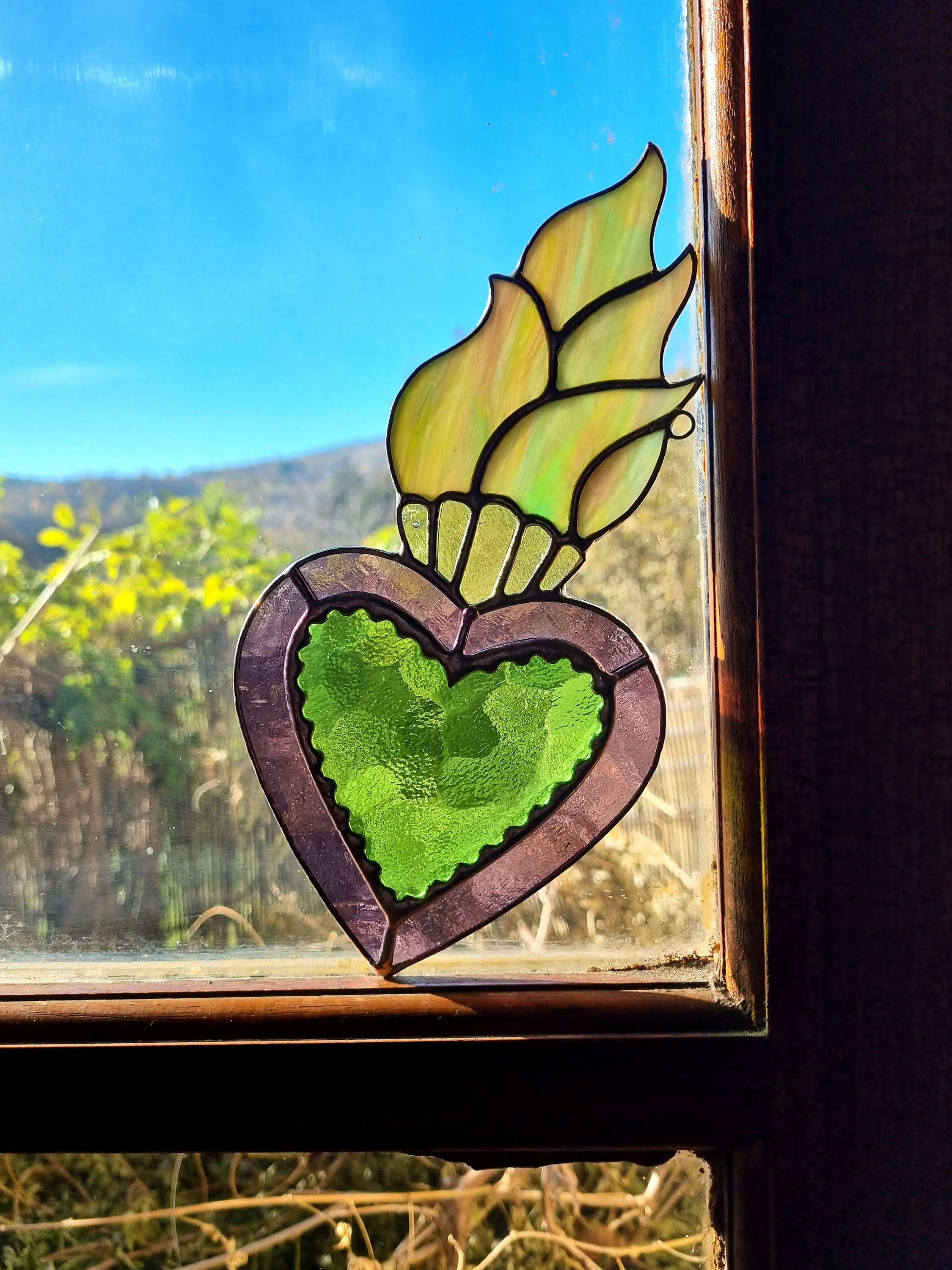 Sapientia 🌿✨️