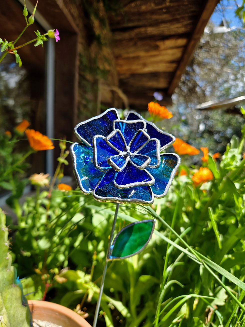 Fleur Eternelle- Blűeę