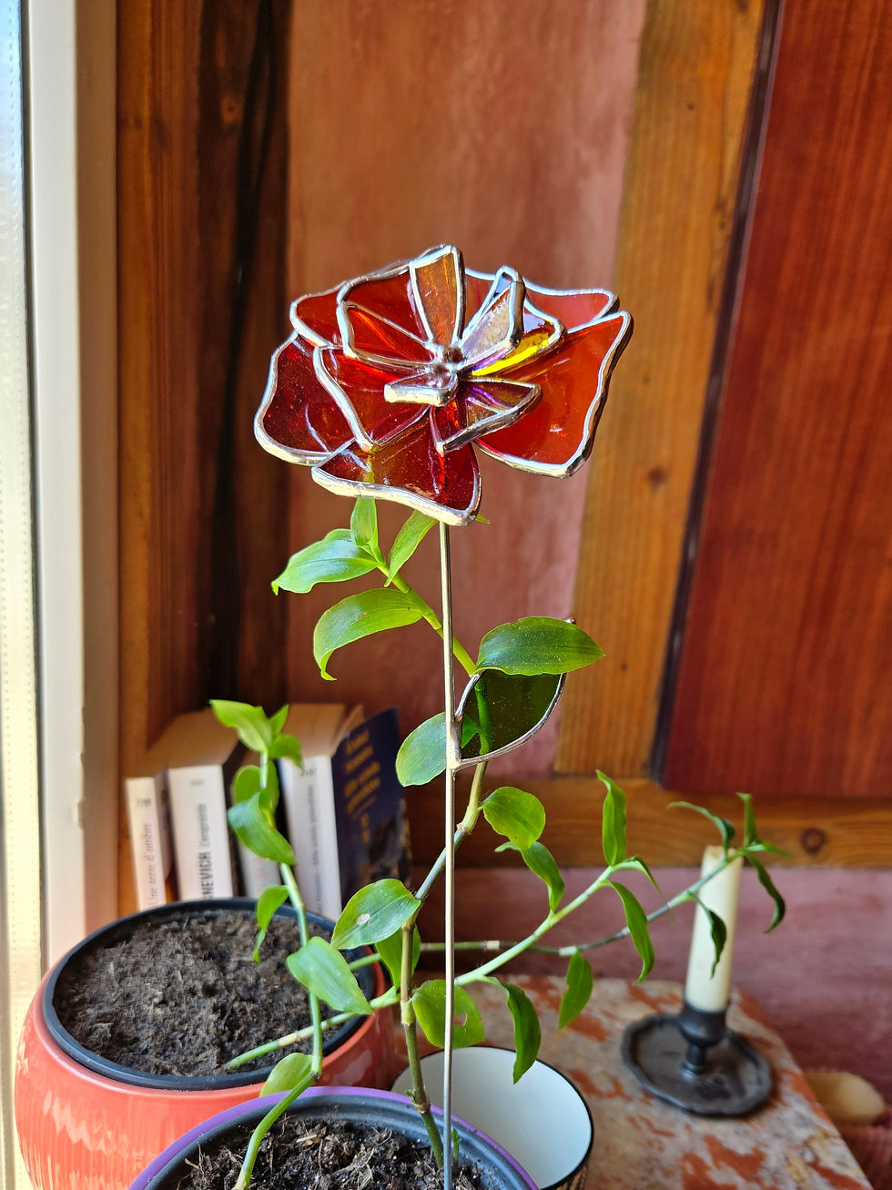Miniature : Fleur Eternelle - Awáã