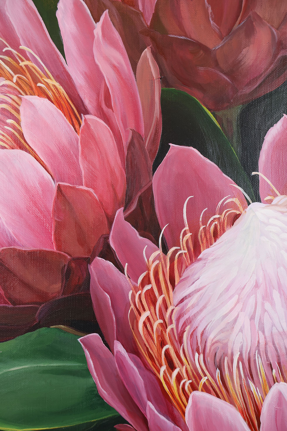 Thumbnail: Protea Symphony in Dark
