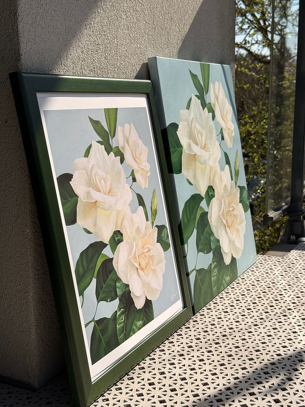 Прев'ю: Gardenia Radiance