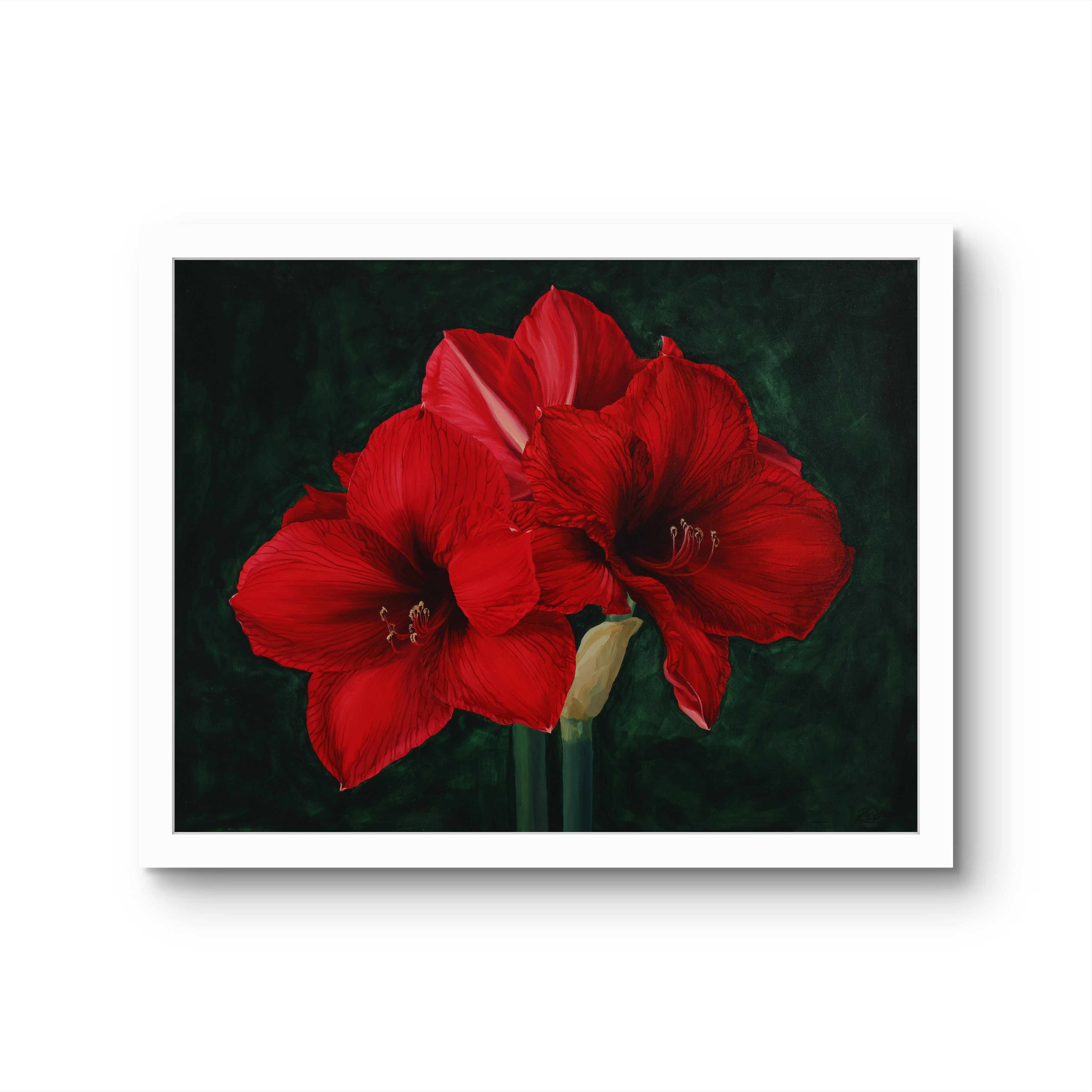 Flame of the bloom