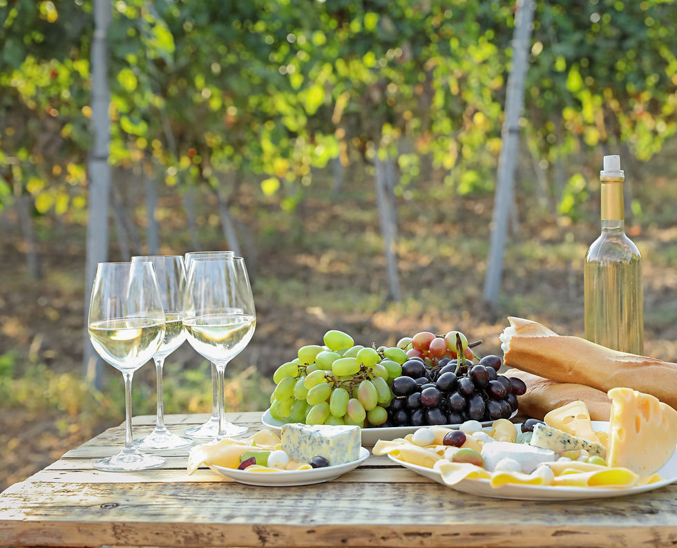 Vineyard Experiences