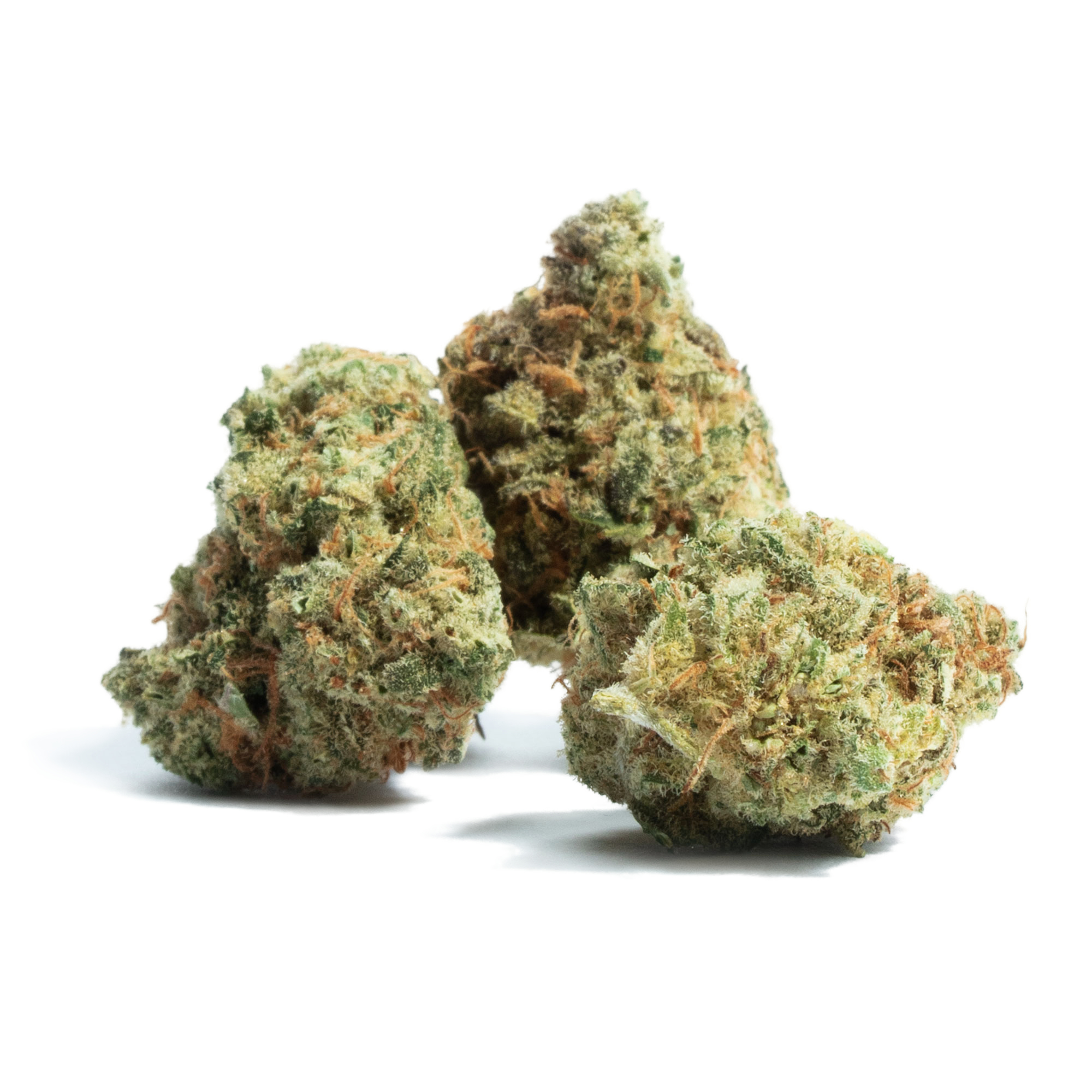 Black Cherry Gelato (Indica) 31%