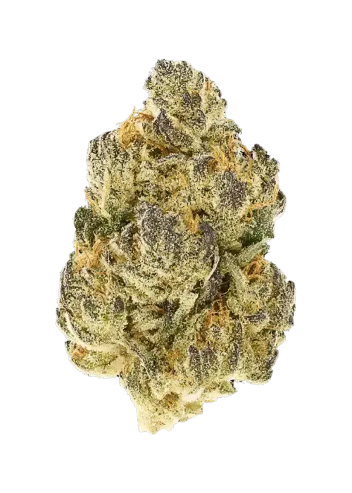 Cherry Cola (Indica-dominant) 28%