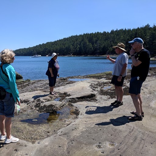Tidal creatures