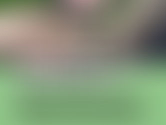 Bild: instagram: ditwirdjut