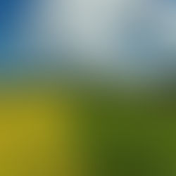 Vazio sanitário da soja começa no mês de julho no RS