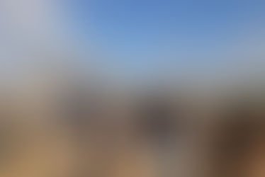 Dia de Campo reforça a qualidade do arroz gaúcho e da genética IRGA