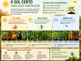 O Sol Certo Para Suas Hortaliças