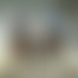 Cavalo Crioulo movimenta R$ 5,36 bilhões e emprega mais de 160 mil brasileiros