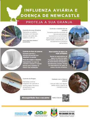 Seapi emite Nota Técnica que reforça importância das medidas de biosseguridade na avicultura comercial