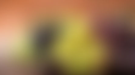 Safra de uva avança com atenção a doenças