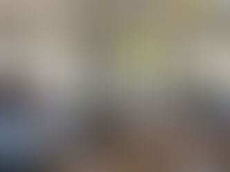 Codesul debate criação de grupo de trabalho para Agricultura de Baixo Carbono