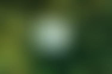 AI and Sustainability Professionals: Partners for a Net Zero Future