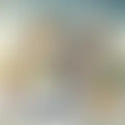 Should You Hire a Contractor with Their Own Structural Engineer or Your Own Independent Structural Engineer? A Homeowner's Guide