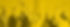 _edited_edited.jpg