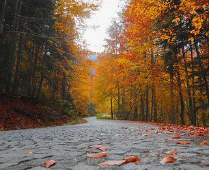 St Regis Maldives Review