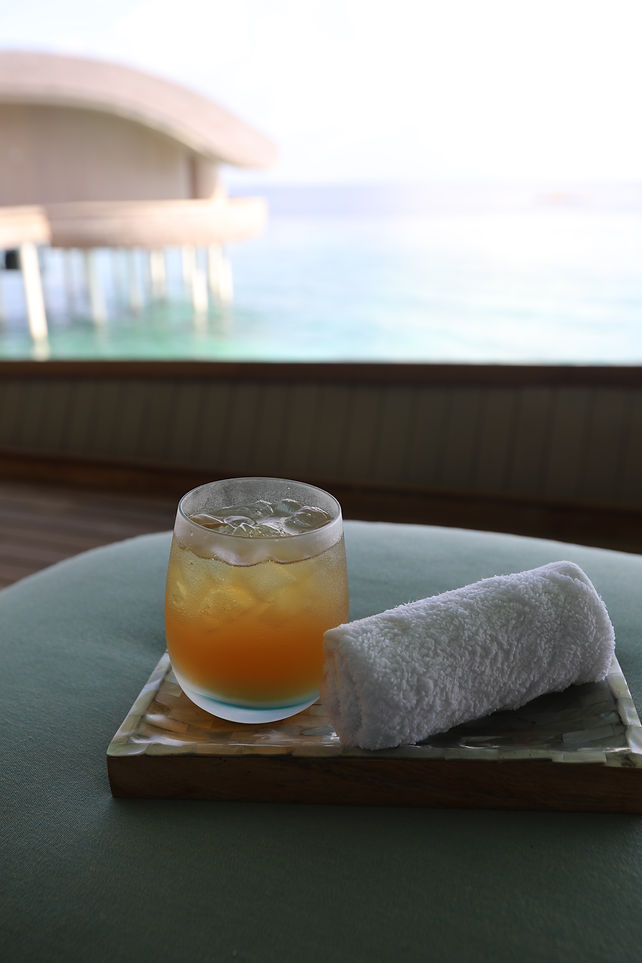 The Iridium Spa - St Regis Maldives