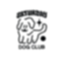 SDCLAST_VERSION_edited_edited.png