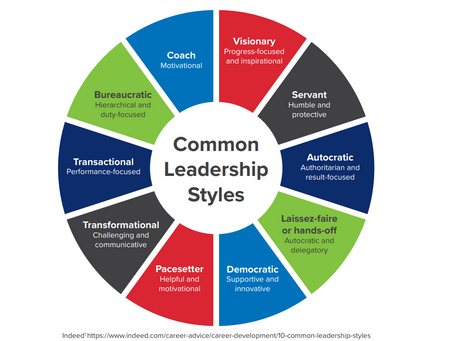 Are you a Perfectionist? You might want to read how your style and approach could be a barrier to Cohesion and Performance.