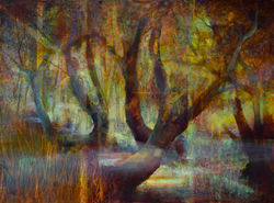 The Quiet Gardener.Oil om Panel.120x90cm.Frame135x105cm.£6995 