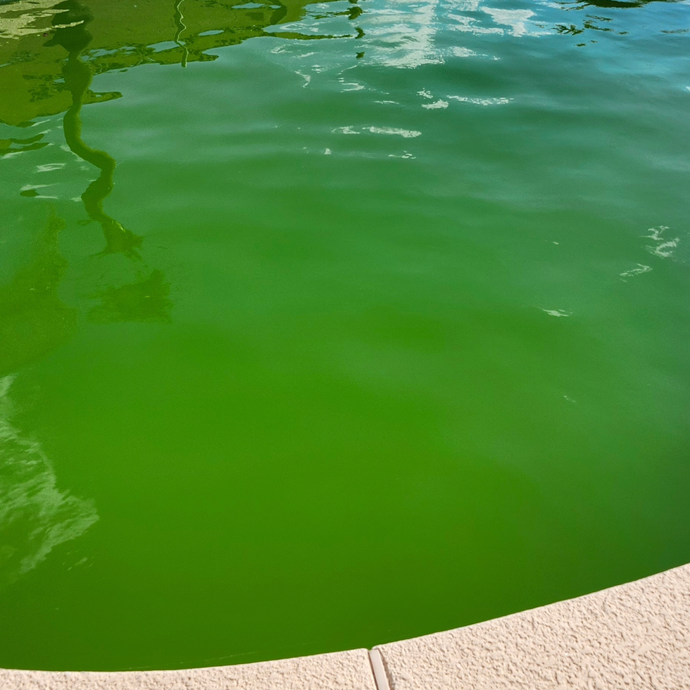 IMG_20240906_091341_598