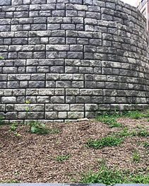 IMG-0855