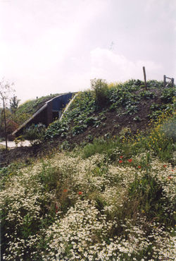 Image1.jpg