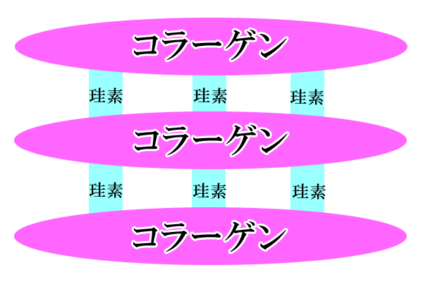 水溶性ケイ素の美容・美肌効果