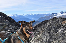 WhatsApp Image 2026-04-10 at 00.54.39.jpeg