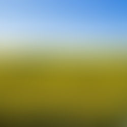 Winter Oilseeds Take the Lead