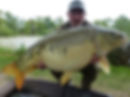 carp-france.jpg