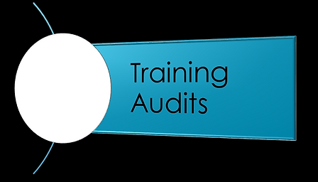 DSAT training audits, first, second, third party JSP 822