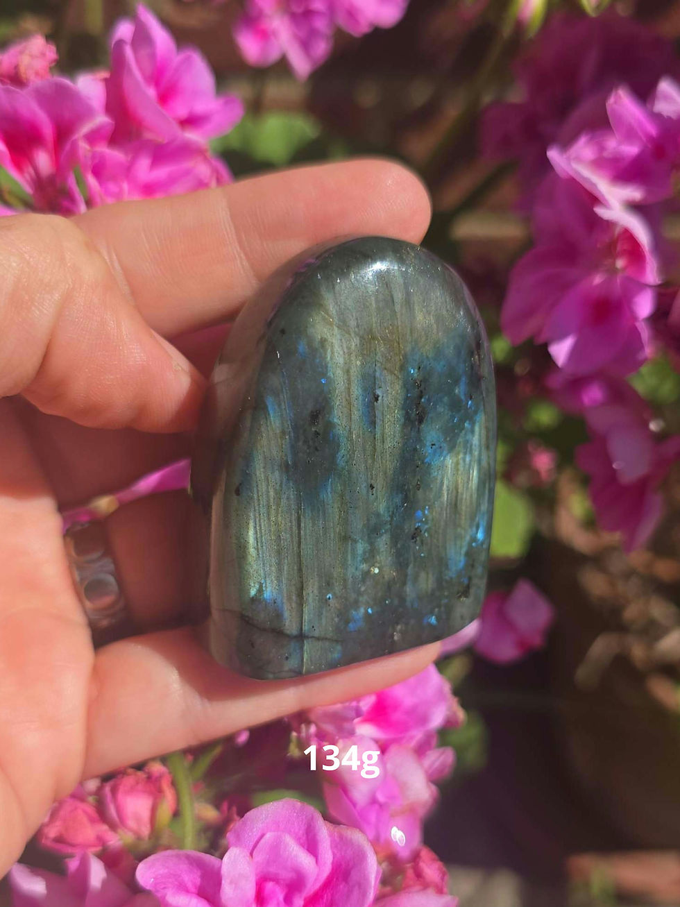 Thumbnail: Small to Medium Labradorite Freeforms