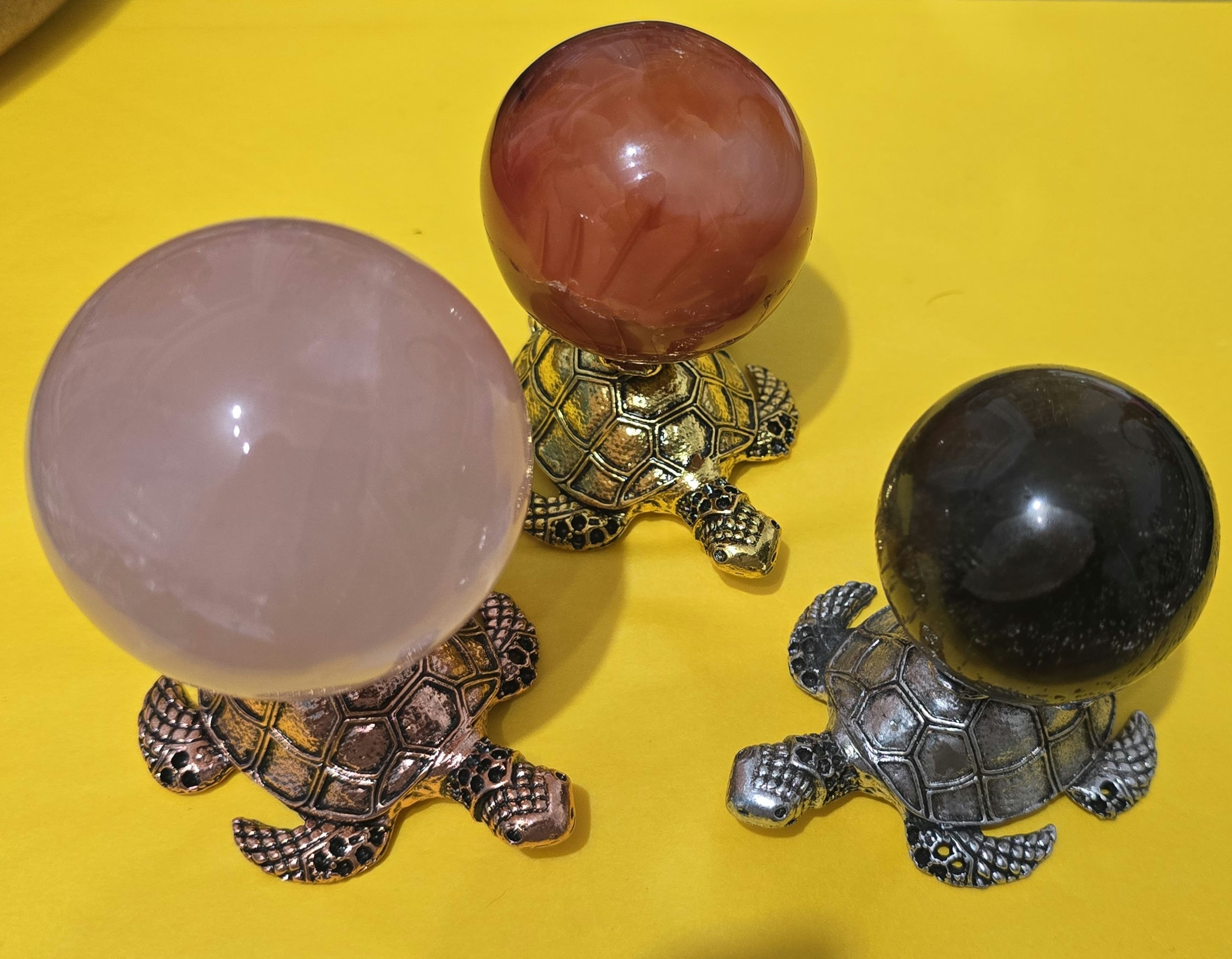 Large Turtle Sphere Holders