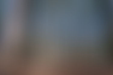 "De vez en cuando vale la pena salirse del camino, sumergirse en un bosque. Encontrarás cosas q