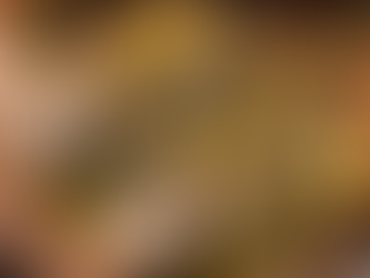 Gegrillte Dorade mit Zitronen-Kräuteröl & Fenchel