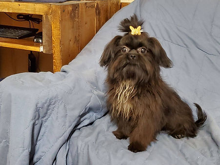 Oakely 6 months (2).jpg