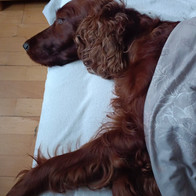 IMG-20220416-WA0006.jpeg