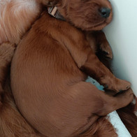 IMG-20220322-WA0001.jpeg