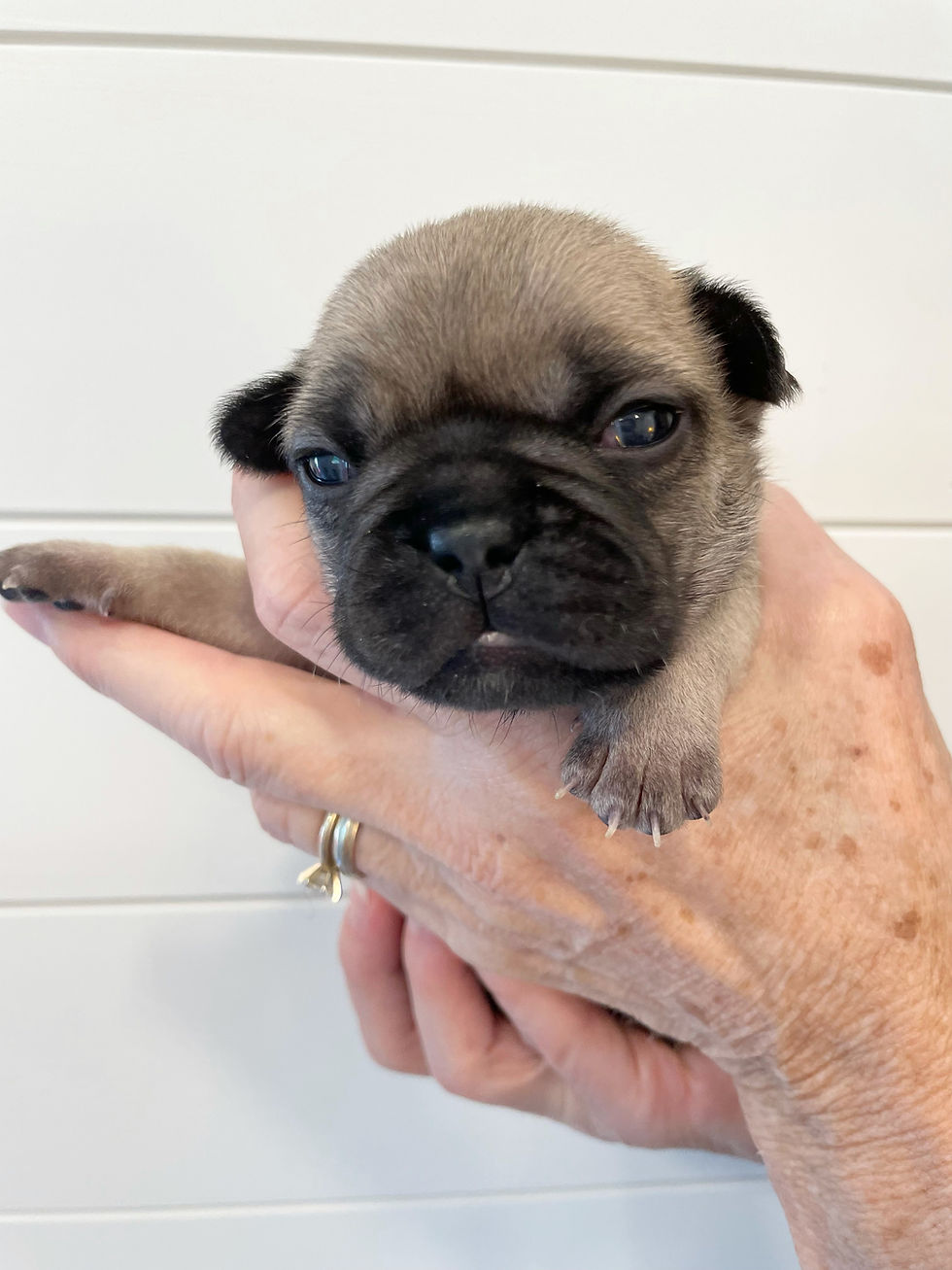 Della- 2 Weeks