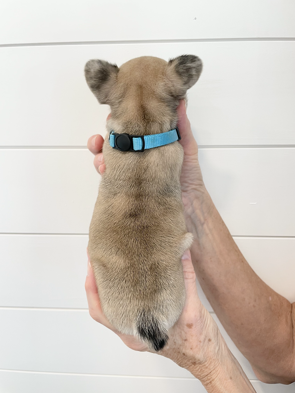 Elliot- 4 Weeks