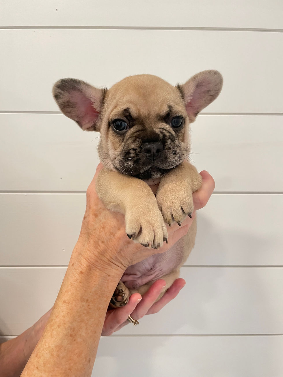 Elliot - 6 Weeks