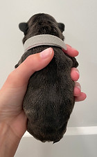 IMG_8815.jpeg