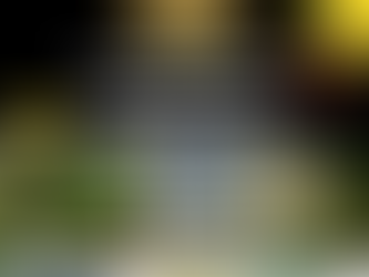 Nouvelle édition des Eclats Sportifs du Chesnay-Rocquencourt !