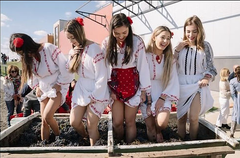 Junge Frauen beim Traubenpressen mit den Füßen