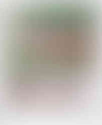 Senior portraits at  Agnes Scott College in Decatur