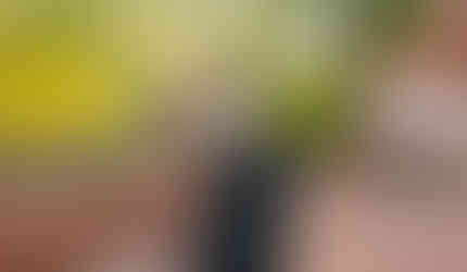 uga senior photographer in athens ga